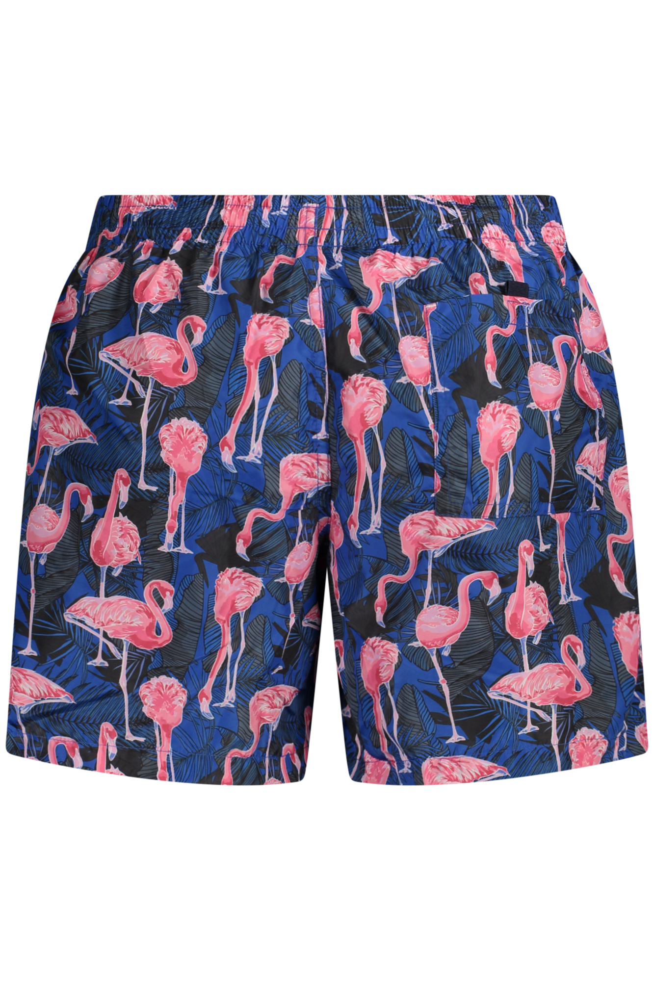 Produkt: Pánský | Typ: Plavky - Obrázek 2